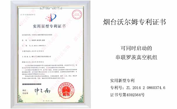 可同時(shí)啟動(dòng)的串聯(lián)羅茨真空機(jī)組專利證書(shū)_煙臺(tái)沃爾姆真空泵獲得專利